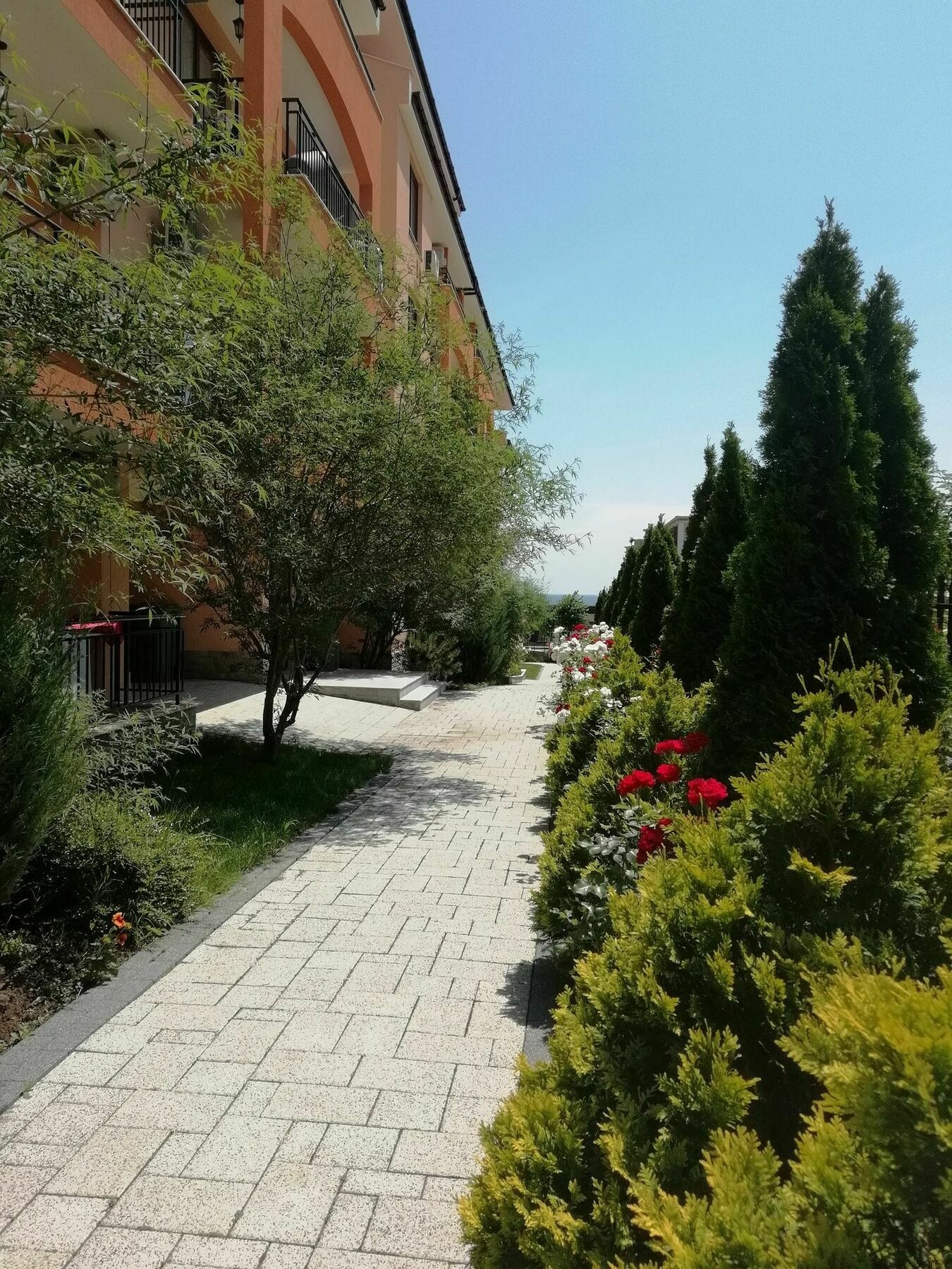 סבטי ולאס Stardreams Apartments מראה חיצוני תמונה